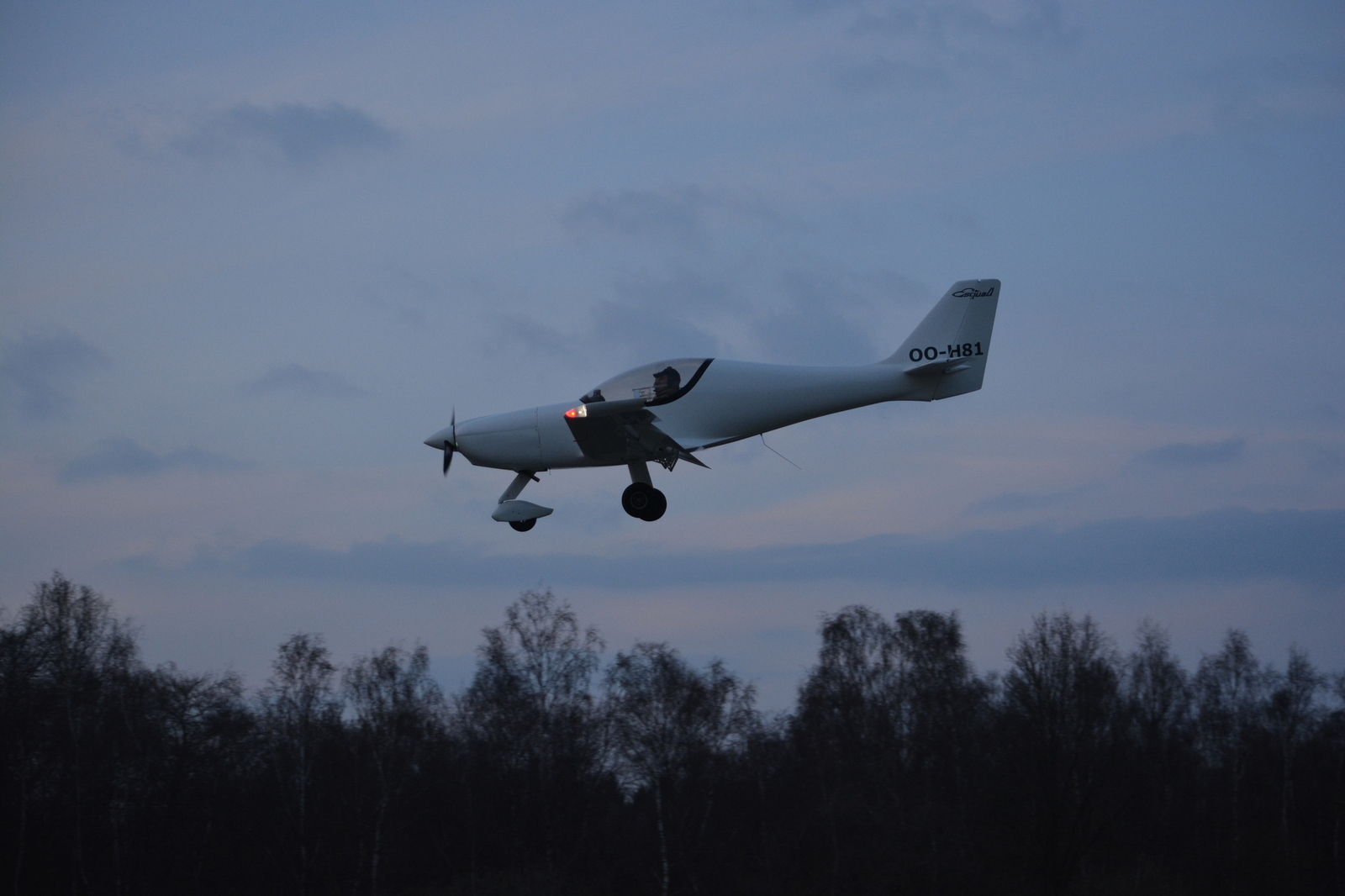 2018-04-01 squal 076